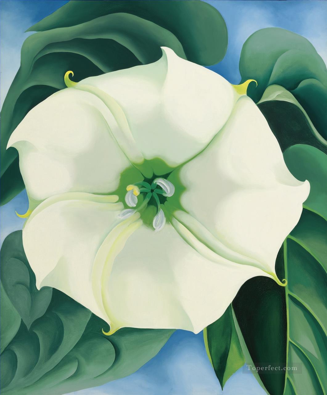 JIMSON WEED WHITE FLOWER NO 1 Georgia Okeeffe American modernism Precisionism Oil Paintings